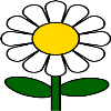 Daisies