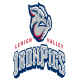 Iron Pigs
