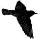 Starlings