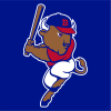 Bisons
