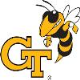Yellow Jackets