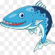 Barracudas