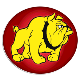 Bulldogs