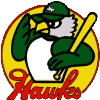 Hawks