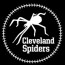 Spiders