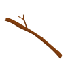 Branches
