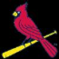 Cardinals