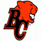 Lions
