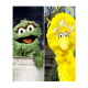 BigGrouchyBirds