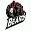 Bears