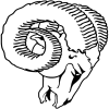 Rams