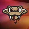 Timber Rattlers