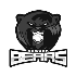 Bears