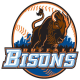 Bisons