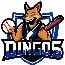Dingos