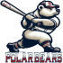 Polar Bears