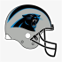 Panthers