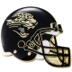 Jaguars