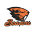 Beavers