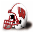Badgers