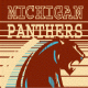 Panthers