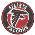 Falcons