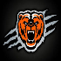 Bears