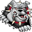 Bulldogs