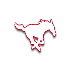 Mustangs