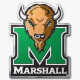 Thundering Herd