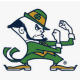 Fighting Irish