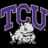 Horned Frogs