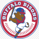 Bisons