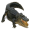 Gators