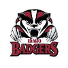 Badgers