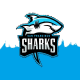 Bay Sharks