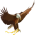 Eagles