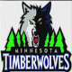 Timberwolves