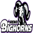 Bighorns