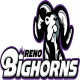 Bighorns