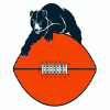 Bears