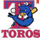 Toros