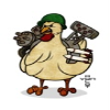 War Chickens