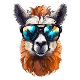 Funk Llamas