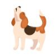 Dachschunds