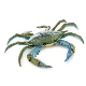 Crabs