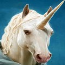 Unicorns