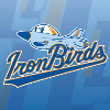 IronBirds
