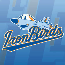 IronBirds