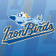 IronBirds